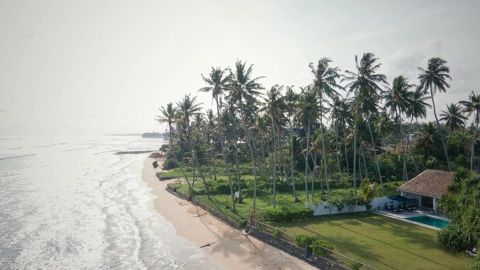 Aerial view of Tea Tree Villa — the pool and lawn behind a coconut grove, with the beach and reef beyond